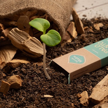 Incenso naturale a bastoncino fatto a mano Palo Santo con Fresia